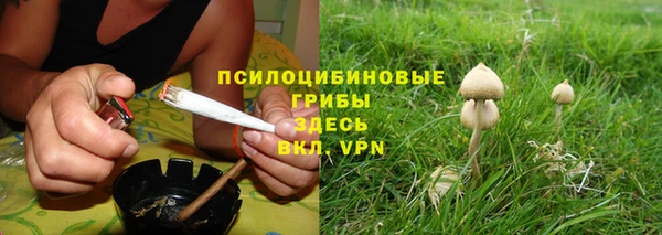 спайс Арсеньев